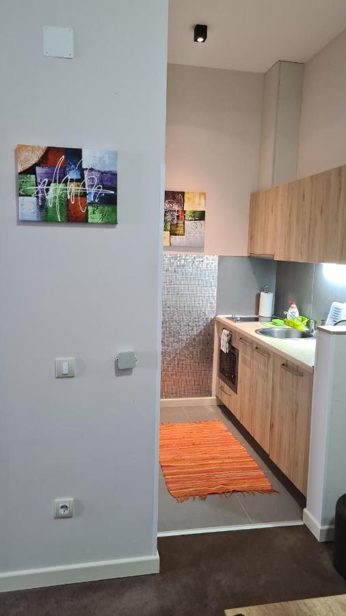 Apartman No1,Zupa Wellness & Spa Kopaonik Kültér fotó